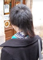 cieniowane fryzury krótkie - uczesanie damskie z włosów krótkich cieniowanych zdjęcie numer 105A